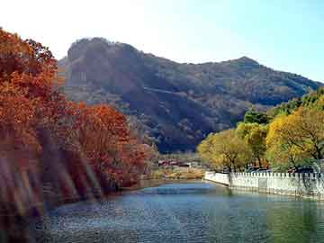 新澳天天开奖资料大全旅游团，适合养羊的牧草